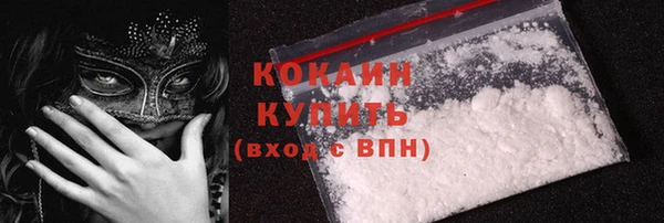 ECSTASY Алзамай