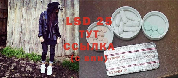 ECSTASY Алзамай