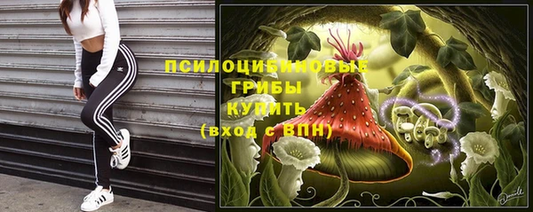 ECSTASY Алзамай