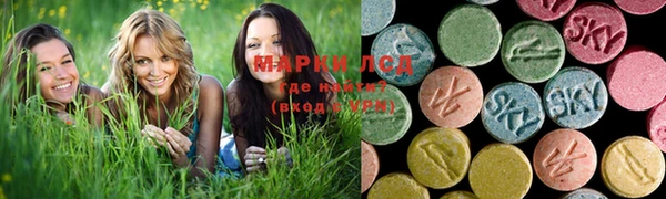амф Алексин
