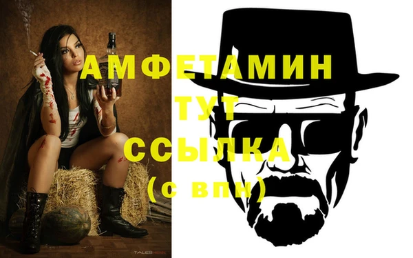 ECSTASY Алзамай
